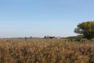 Magyar Camino.2010.10.04.2.szakasz